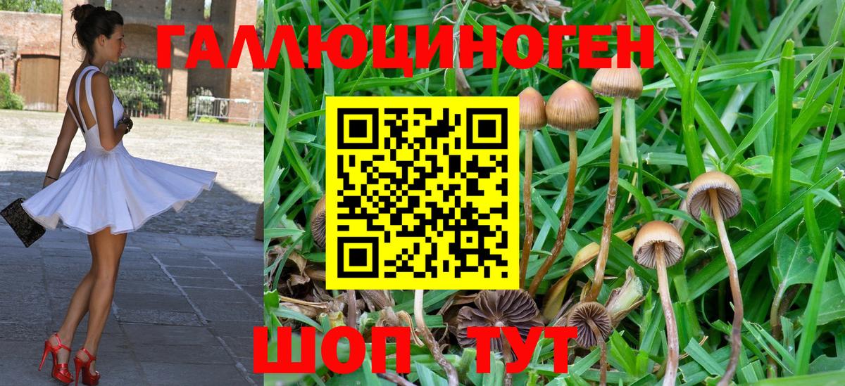 Сафоново  Псилоцибиновые грибы Psilocybine cubensis  Псилоцибиновые грибы ЛСД  Вход с VPN 