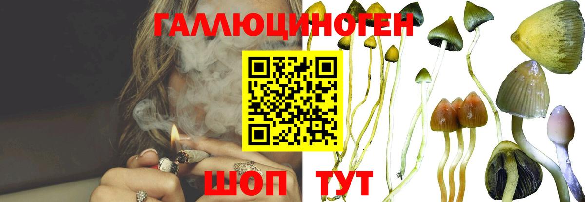 Псилоцибиновые грибы Сафоново